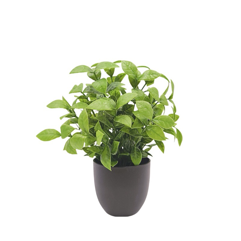 Bonsai Tanaman Hijau Simulasi, - Home Office Simulator ulasan dan harga